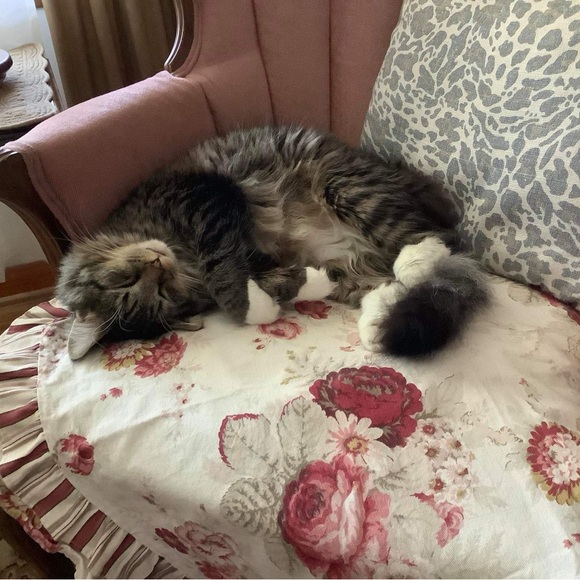 Welcome! - Picture 3 of 6